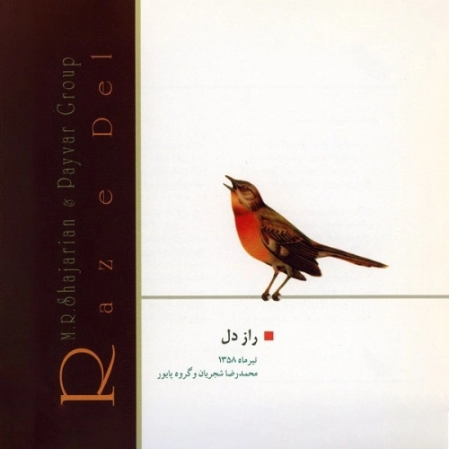 راز دل از محمدرضا شجریان
