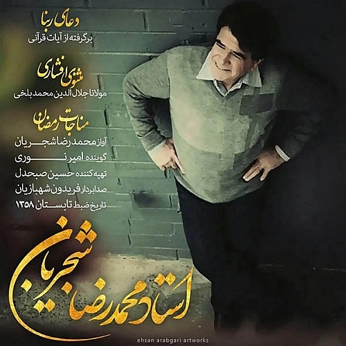 مثنوی افشاری از محمدرضا شجریان