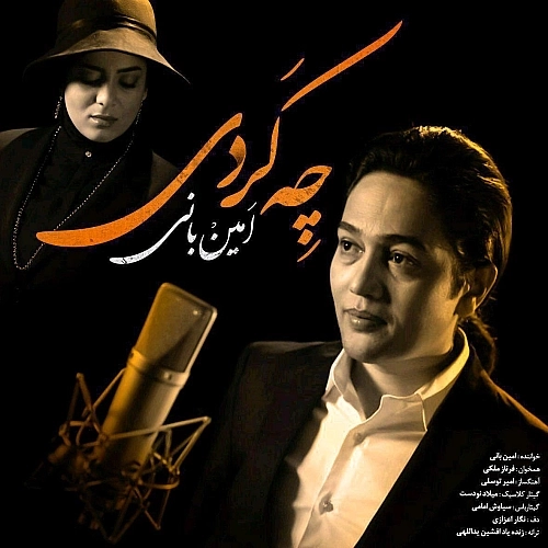 چه کردی از امین بانی