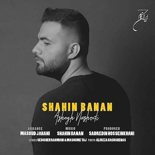 عاشق نبودی از شاهین بنان